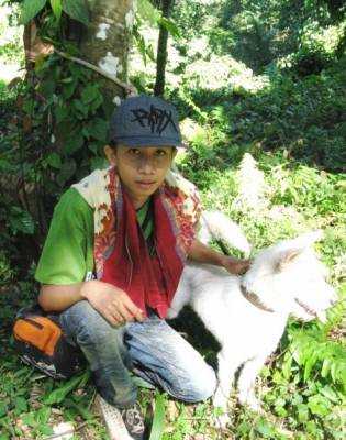 Buru babi - 