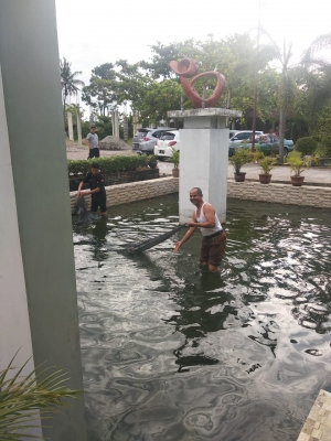 Menangkap ikan di kolam - menangkap ikan untuk persiapan konsumsi gotong royong